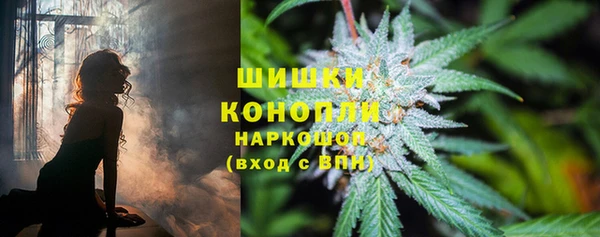 спиды Лагань