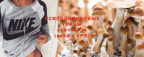 а пвп мука Лабытнанги